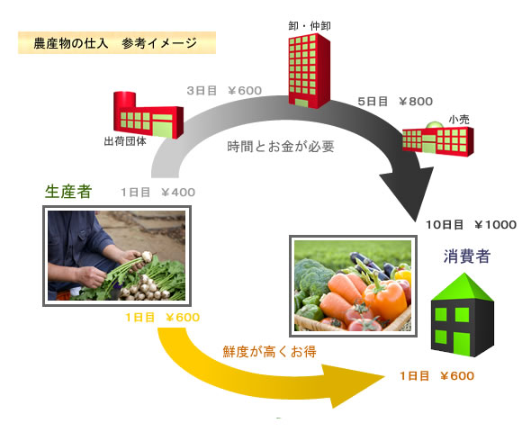 仕入ルートイメージ図